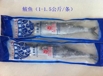 青島海鮮盛宴，禮遇四方 城陽海產(chǎn)品禮盒批發(fā)采購(gòu)全指南